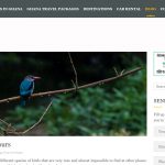 FireShot Capture 785 - Ghana Birding Tours - _ - https___www.grassroottours.com_ghana-birding-tours_