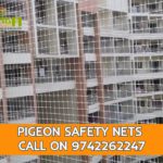 Pigeon-nets-3.jpg